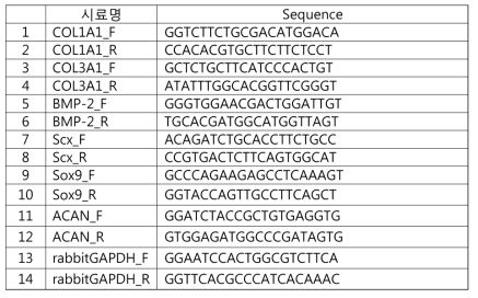 토끼에서 각각의 Gene sequence