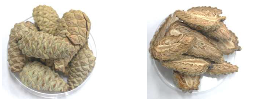 The images of outer and inner parts of freeze dried green pine cones