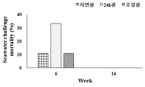 24시간 해수 입식 후 폐사율