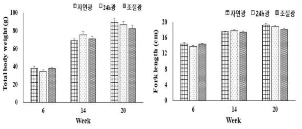 광주기 조절에 따른 길이, 무게 성장률