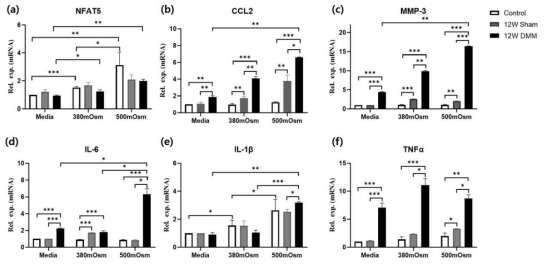 WT 마우스에 DMM 유도 후 12주 후에 각각에서 활막섬유모세포를 분리배양하여 24시간동안 고삼투압으로 자극 한 후에 세포로부터 mRNA를 얻어서 Real-time-PCR을 시행해 분석한 (a) NFAT5, (b) CCL2, (c) MMP3, (d) IL-6, (e) IL-1β, (f) TNFα의 mRNA 상대 정량 (n=4). * p< 0.05, ** p< 0.01, *** p< 0.001. (unpublished data)