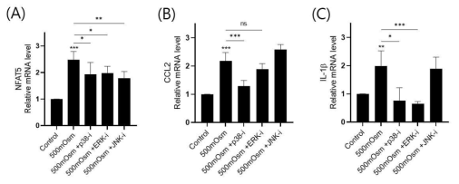 p38, ERK, JNK 억제제를 전처리 한 후 500 mOsm의 고삼투압으로 24시간 자극한 WT 마우스의 연골세포에서 (A) NFAT5, (B) CCL2, (C) IL-1β의 mRNA 발현양 (n=3). * p< 0.05, ** p< 0.01, *** p< 0.001. (unpublished data)