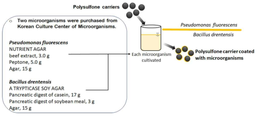 본 연구에서 개발한 담체인 P-5N-BC(질산처리한 대나무 활성탄 5%를 첨가한 폴리술폰 입상 담체) 표면에 미생물 2종을 도포하는 과정 및 미생물 배양 조건