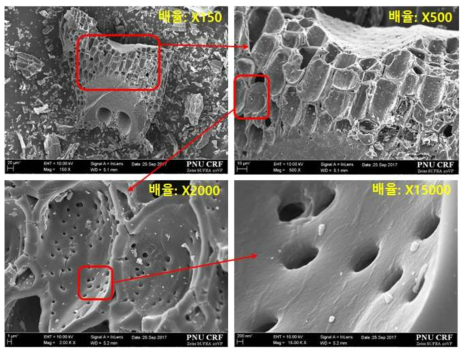 E type 활성탄 입자의 표면 SEM 이미지