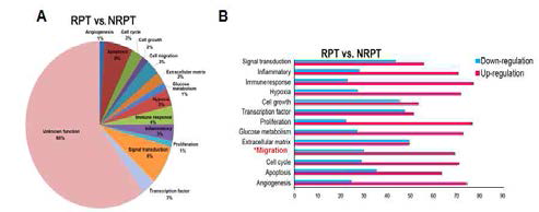 Pie chart shows different biological functional terms(A), differential gene expression patterns based on categorization of the upregulated and downregulated genes(B).γ-irradiated primary tumor (RPT),non-irradiated primary tumor (NRPT)(국외논문 발췌2)
