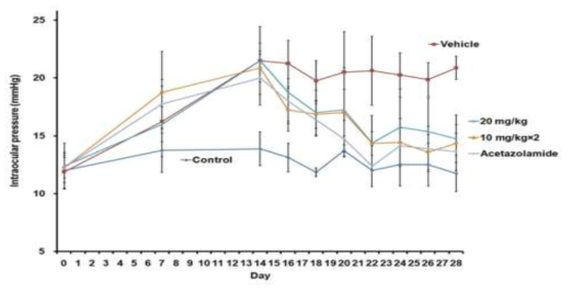 안압상승 마우스모델에서 A3AR antagonist의 경구 투여 시 안압저하 효능 분석