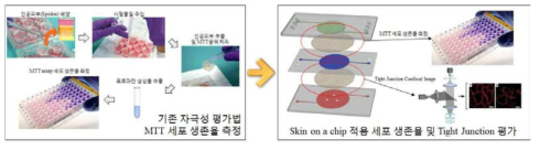 Skin Chip을 이용한 자극성 평가법
