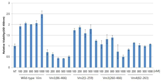 CPP-fusion wild-type vimentin 및 deletion mutants의 DP cells 증식에 대한 영향