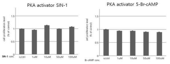 DP cells에서 두가지 PKA activator (8-Bromo-cAMP, SIN-1)의 세포 증식에 대한 영향