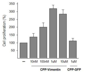 CPP-fusion vimentin 단백질에 의한 dermal papilla cells 증식 효과. Dermal papilla cells에 CPP-vimentin 단백질을 농도별로 처리하고 24시간 후에 BrdU Cell Proliferation Assay Kit를 사용하여 세포 증식을 측정하였음. 대조군으로 CPP fusion된 green fluorescent protein (GFP)을 정제하여 함께 실험하였음