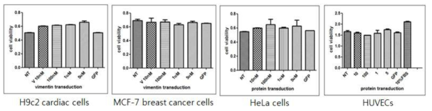 여러 세포들에 대한 CPP-fusion vimentin 단백질의 영향. 그림-6에서 사용한 같은 방법으로 cell proliferation assay 수행함