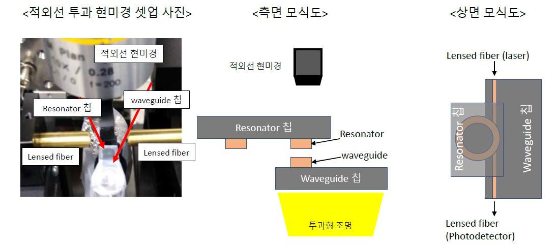 silicon waveguide에 butt coupling으로 빛을 삽입/추출 할 수 있는 투과형 적외선 현미경 셋업의 사진 (왼쪽). 그것의 측면 모식도 (가운데). 조명이 적외선 현미경의 반대쪽에서 조사되어 칩을 통과 후 실리콘 칩에 흡수 되지 않는 적외선 대역의 빛만 렌즈를 거쳐 적외선 카메라에 전달된다. 상면 모식도 (오른쪽). Silicon waveguide의 양 끝단에서 lensed fiber를 이용해 빛을 삽입/추출 해 주게 된다. 이 때 lensed fiber는 정밀 이동 스테이지에 부착되어 광삽입/추출 효율을 최대화 할 수 있도록 위치되었다