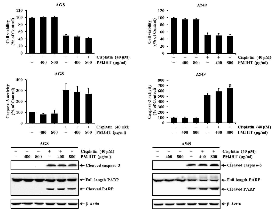 The effects of Palmijihwang-tang on cisplain-induced apoptosis in AGS gastric cancer cells and A549 liung cancer cells
