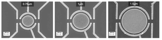 제작된 공동 및 QPC 게이트의 전자현미경 사진