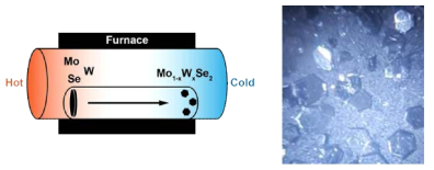 Chemical vapor transport method(왼쪽)와 이 방법으로 합성된 고품질 2H-TaSe2 단결정(오른쪽)