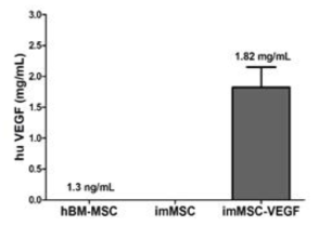 배양액에서 VEGF의 발현량 차이