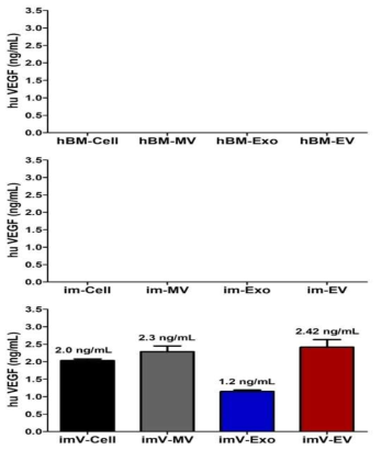 마이크로소포 및 엑소좀의 VEGF 발현량 차이