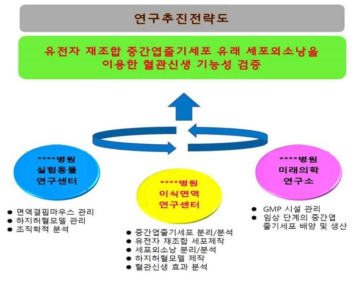 연구의 추진전략 및 방법