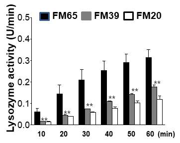 Lysozyme activity in eels fed the experimental diets containing different ratio of plant-protein sources for 6 weeks. Values are means of triplicate per treatment. FM65 (fish meal 100%, control diet); FM39; FM20. Values are means of triplicate per treatment. Bars with star-marks are significantly different (＊, P<0.05; ＊＊, P<0.01)