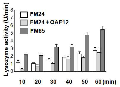 Lysozyme activity in fish fed the experimental diets containing plant-protein sources (40%) with an additive OFA12 for 8 weeks. Values are means of triplicate per treatment