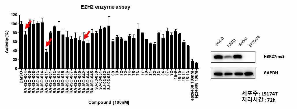 신규 유도체중 좋은 활성을 가진 최종 선도물질 RA-ISO-011 유효 화합물 및 차별화된 EZH2 억제 효능
