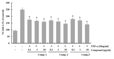 구멍쇠미역에서 분리된 화합물의 VCAM-1 억제활성