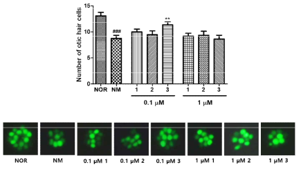 구멍쇠미역에서 분리된 monogalactosylacyl glycerol 화합물의 난청 회복 활성