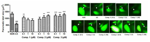 구멍쇠미역으로부터 분리된 화합물의 제1형 당뇨 zebrafish model에서 항당뇨활성