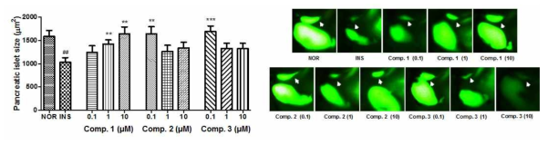 구멍쇠미역으로부터 분리된 화합물의 제2형 당뇨 zebrafish model에서 항당뇨활성