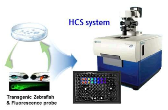 HCS 기반 독성 및 약효 평가 시스템