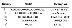 mRNA 3‘UTR에 존재하는 AUUUA sequence. AUUUA의 개수에 따라 5개 group으로 구분됨