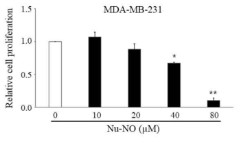 Nu-NO의 암세포 증식 억제 효과 분석
