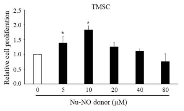Nu-NO의 편도유래줄기세포 성장 효과 분석