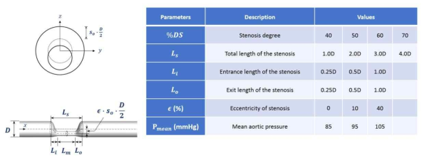 실험 평가 요인들 (혈관 및 협착부 형상인자와 대동맥평균혈압)