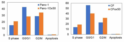 항암제 저항성 세포 Panc-1Ox50, CFox50 에서의 cell cycle 변화 분석