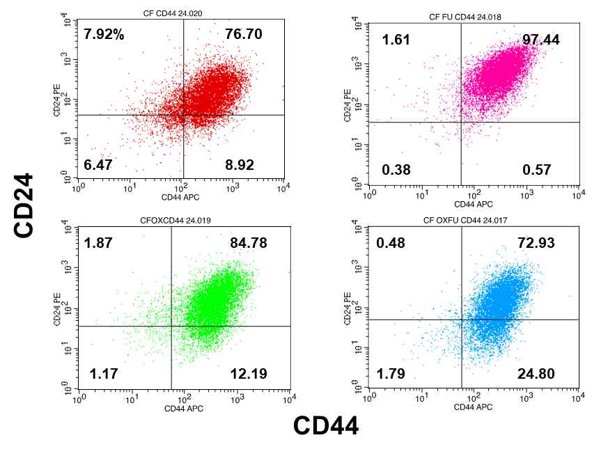 항암제 내성 췌장암세포에서 CD marker의 변화 규명