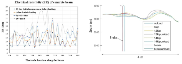 (a) 빔 부재(2m)에 따라 설치된 전극(전선)으로부터 측정한 동적 및 정적 하중 재하 후 전기비저항 변화, (b) 광섬유를 활용한 변형율 변화(빔 양방향으로 4m에 대한 측정이 이루어짐)