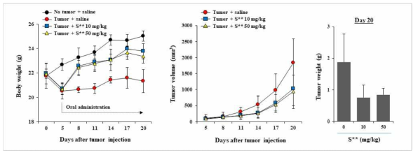 종양 악액질 동물 모델에서 S** 투여에 의한 몸무게 증가 및 종양성장 억제