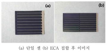 ECA 구조의 적합한 전극 구조 SEM 및 이미지