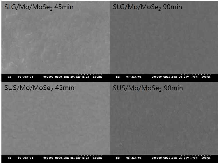 기판 및 증착시간에 따른 MoSe2 layer SEM 표면 이미지