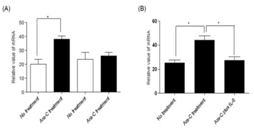 Expression patterns of H2AX genes in HEL cells alone and HEL cells co-cultured with BMSCs. (A) To examine the expression patterns of H2AX genes in HEL cells with/without BMSCs under treating with 10-6M Ara-C, respectively, Realtime PCR was performed as mentioned in Materials and Methods. The data are represented as mean +/- SEM (n=3 independent experiments). (B) IL-6 suppresses Ara-C mediated H2AX expression in HEL cells. To examine whether IL-6 suppressed Ara-C induced H2AX expression, H2AX expression patterns were examined in HEL cell at 24 hour after treatment with 10-6M Ara-C as a single agentor 10-6M Ara-C plus human recombinants IL-6. The data are represented as mean+/-SEM (n=3 independent experiments).* indicates statistically significant