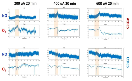 음극 및 양극 직류자극 후 시간의 경관에 따른 대뇌 피질내 산화질소(NO)와 산소(O2)의 변화