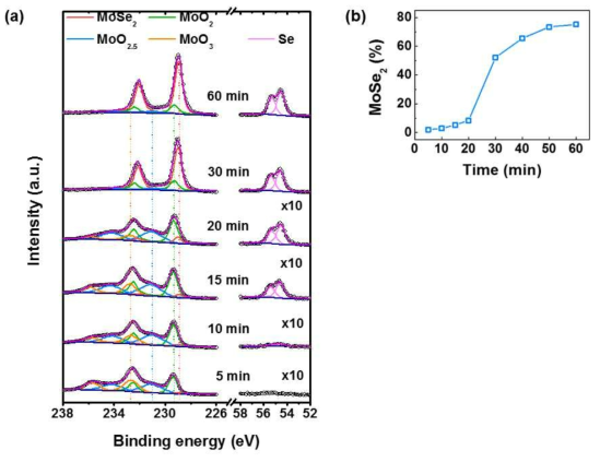합성 시간에 따른 (a) MoSe2의 XPS 스팩트럼과 (b) MoSe2의 함량