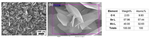 합성한 MoSe2의 (a) SEM 이미지와 (b) EDX 데이터