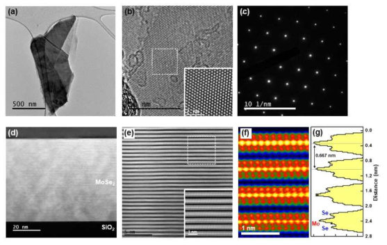합성한 MoSe2의 (a) 저배율 TEM 이미지. (b) 고배율 TEM 이미지. (c) FFT 패턴. (d) 저배율 Cross-section 이미지. (e) 고배율 Cross-section 이미지. (f) STEM-HAADF 이미지. (g) Line-profile 이미지