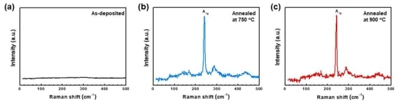 (a) As-deposited, (b) 750 ℃ 열처리, (c) 900 ℃ 열처리 한 MoSe2의 라만 그래프