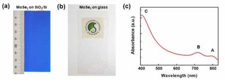 (a-b) SiO2 기판 위에 증착한 대면적 MoSe2 박막 사진. (b) 유리 기판위에 전사된 MoSe2 박막 사진. (c) 투명 기판 위 MoSe2 박막의 UV-Vis absorbtion
