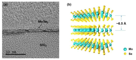 (a) 50 W, 120 s 증착한 MoSe2 박막의 단면 TEM 이미지 (b) MoSe2의 층간 구조를 나타난 모식도