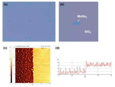 (a)와 (b) SiO2 기판 위에 패턴닝한 MoSe2 박막의 현미경 이미지 (c) MoSe2 박막 두께 측정한 AFM 이미지, (d) Line-Profile