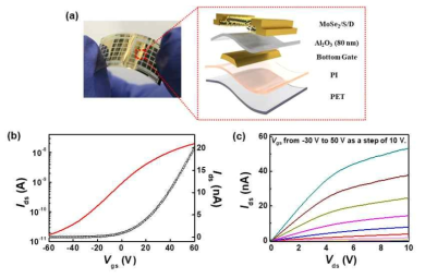 (a) PET/PI 기판 위에 제작한 MoSe2 유연 소자 사진 및 소자 구조 모식도. MoSe2 유연 소자의 (b) Transfer 특성 및 (c) 소자 구조 모식도. MoSe2 유연 소자의 (b) Transfer 특성 및 (c) Output 특성